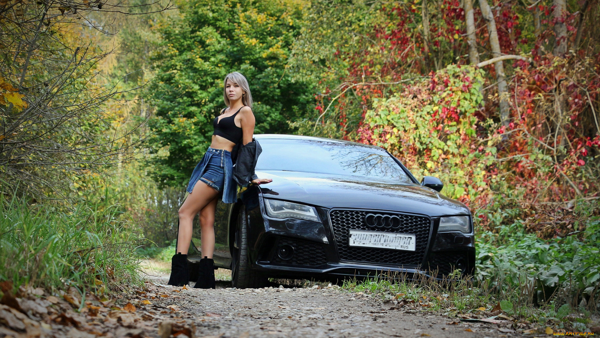 , -  , , , audi